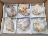 Natural Amethyst Spirit Quartz Clusters x 6 From Boekenhouthoek, South Africa - Toprock Gemstones and Minerals