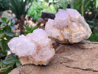 Natural Amethyst Spirit Quartz Clusters x 6 From Boekenhouthoek, South Africa - Toprock Gemstones and Minerals