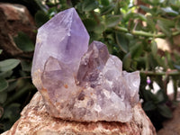 Natural Jacaranda Amethyst Quartz Clusters x 4 From Mumbwa, Zambia - Toprock Gemstones and Minerals