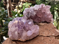 Natural Jacaranda Amethyst Quartz Clusters x 4 From Mumbwa, Zambia - Toprock Gemstones and Minerals