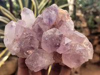 Natural Jacaranda Amethyst Quartz Clusters x 4 From Mumbwa, Zambia - Toprock Gemstones and Minerals
