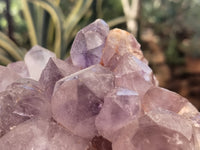 Natural Jacaranda Amethyst Quartz Clusters x 4 From Mumbwa, Zambia - Toprock Gemstones and Minerals