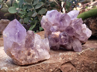 Natural Jacaranda Amethyst Quartz Clusters x 4 From Mumbwa, Zambia - Toprock Gemstones and Minerals