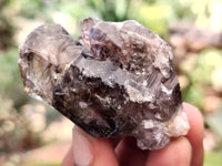Natural Mixed Quartz Specimens x 24 From Southern Africa - Toprock Gemstones and Minerals