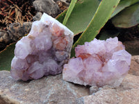 Natural Dark Purple Cactus Spirit Quartz Clusters x 3 From South Africa - Toprock Gemstones and Minerals