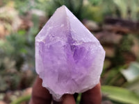 Natural Jacaranda Amethyst Single Quartz Crystals x 12 From Mumbwa, Zambia - Toprock Gemstones and Minerals