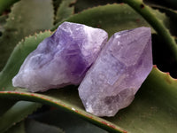 Natural Jacaranda Amethyst Single Quartz Crystals x 12 From Mumbwa, Zambia - Toprock Gemstones and Minerals