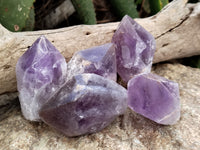 Natural Jacaranda Amethyst Single Quartz Crystals x 12 From Mumbwa, Zambia - Toprock Gemstones and Minerals