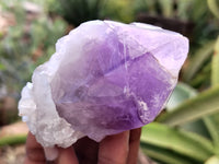 Natural Jacaranda Amethyst Single Quartz Crystals x 12 From Mumbwa, Zambia - Toprock Gemstones and Minerals
