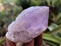 Natural Jacaranda Amethyst Single Quartz Crystals x 12 From Mumbwa, Zambia - Toprock Gemstones and Minerals