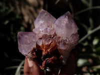 Natural Dark Amethyst Spirit Quartz Clusters x 12 From Boekenhouthoek, South Africa - Toprock Gemstones and Minerals