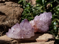 Natural Dark Amethyst Spirit Quartz Clusters x 12 From Boekenhouthoek, South Africa - Toprock Gemstones and Minerals