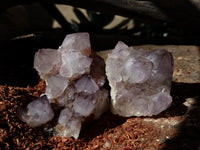 Natural Dark Amethyst Spirit Quartz Clusters x 12 From Boekenhouthoek, South Africa - Toprock Gemstones and Minerals