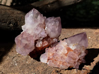Natural Dark Amethyst Spirit Quartz Clusters x 12 From Boekenhouthoek, South Africa - Toprock Gemstones and Minerals