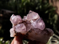 Natural Dark Amethyst Spirit Quartz Clusters x 12 From Boekenhouthoek, South Africa - Toprock Gemstones and Minerals
