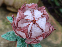 Hand Made Gemstone Protea Flower Trees x 3 From South Africa - Toprock Gemstones and Minerals