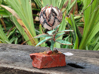 Hand Made Gemstone Protea Flower Trees x 3 From South Africa - Toprock Gemstones and Minerals