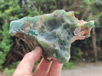 Polished Emerald Mtorolite Free Forms x 2 From Zimbabwe - Toprock Gemstones and Minerals