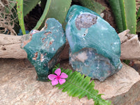 Polished Emerald Mtorolite Free Forms x 2 From Zimbabwe - Toprock Gemstones and Minerals