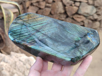 Polished Labradorite Standing Free Form x 1 From Tulear, Madagascar - Toprock Gemstones and Minerals