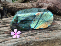 Polished Labradorite Standing Free Form x 1 From Tulear, Madagascar - Toprock Gemstones and Minerals