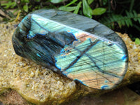 Polished Labradorite Standing Free Form x 1 From Tulear, Madagascar - Toprock Gemstones and Minerals