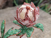Hand Made Gemstone Double Protea Flower Trees x 3 From South Africa - Toprock Gemstones and Minerals