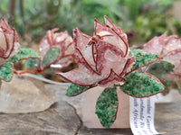 Hand Made Gemstone Double Protea Flower Trees x 3 From South Africa - Toprock Gemstones and Minerals