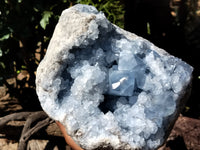 Natural Celestite Geode Specimens x 1 From Sakoany, Madagascar - Toprock Gemstones and Minerals
