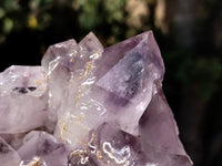 Natural Jacaranda Amethyst Quartz Cluster x 1 From Mumbwa, Zambia - Toprock Gemstones and Minerals