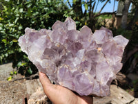 Natural Jacaranda Amethyst Quartz Cluster x 1 From Mumbwa, Zambia - Toprock Gemstones and Minerals