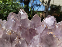 Natural Jacaranda Amethyst Quartz Cluster x 1 From Mumbwa, Zambia - Toprock Gemstones and Minerals