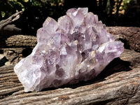 Natural Jacaranda Amethyst Quartz Cluster x 1 From Mumbwa, Zambia - Toprock Gemstones and Minerals