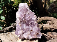 Natural Jacaranda Amethyst Quartz Cluster x 1 From Mumbwa, Zambia - Toprock Gemstones and Minerals
