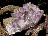 Natural Jacaranda Amethyst Quartz Cluster x 1 From Mumbwa, Zambia - Toprock Gemstones and Minerals