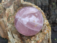 Polished Rose Quartz Spheres x 3 From Ambatondrazaka, Madagascar - Toprock Gemstones and Minerals