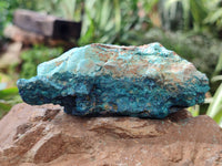 Natural Shattuckite with Chrysocolla and Malachite Cobbed Specimens x 16 From Kaokoveld, Namibia - Toprock Gemstones and Minerals