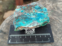 Natural Shattuckite with Chrysocolla and Malachite Cobbed Specimens x 16 From Kaokoveld, Namibia - Toprock Gemstones and Minerals
