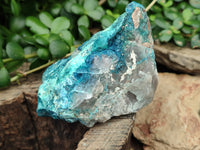 Natural Shattuckite with Chrysocolla and Malachite Cobbed Specimens x 16 From Kaokoveld, Namibia - Toprock Gemstones and Minerals