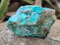 Natural Shattuckite with Chrysocolla and Malachite Cobbed Specimens x 16 From Kaokoveld, Namibia - Toprock Gemstones and Minerals