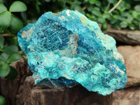 Natural Shattuckite with Chrysocolla and Malachite Cobbed Specimens x 16 From Kaokoveld, Namibia - Toprock Gemstones and Minerals
