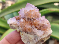 Natural Dark Amethyst Spirit Quartz Clusters x 12 From Boekenhouthoek, South Africa - Toprock Gemstones and Minerals