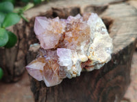 Natural Dark Amethyst Spirit Quartz Clusters x 12 From Boekenhouthoek, South Africa - Toprock Gemstones and Minerals