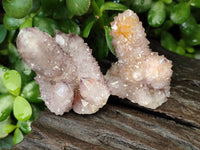 Natural Dark Amethyst Spirit Quartz Clusters x 12 From Boekenhouthoek, South Africa - Toprock Gemstones and Minerals