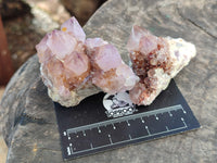 Natural Dark Amethyst Spirit Quartz Clusters x 12 From Boekenhouthoek, South Africa - Toprock Gemstones and Minerals