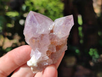 Natural Dark Amethyst Spirit Quartz Clusters x 12 From Boekenhouthoek, South Africa - Toprock Gemstones and Minerals