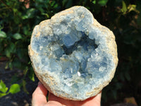 Natural Celestite Geode Specimens x 1 From Sakoany, Madagascar - Toprock Gemstones and Minerals