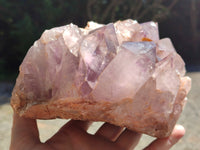 Natural Jacaranda Amethyst Quartz Cluster x 1 From Mumbwa, Zambia - Toprock Gemstones and Minerals