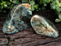 Polished Labradorite Standing Free Form x 2 From Tulear, Madagascar - Toprock Gemstones and Minerals