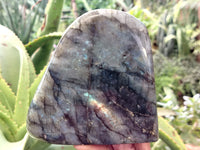 Polished Labradorite Standing Free Form x 2 From Tulear, Madagascar - Toprock Gemstones and Minerals